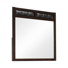 Carlton Upholstered Rectangular Mirror Cappuccino