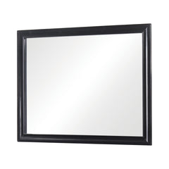 Miranda Rectangular Mirror Black