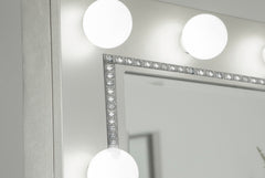 Eleanor Metallic Rectangular Mirror with Light