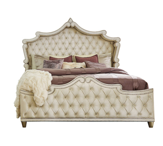 Antonella Upholstered Tufted Eastern King Bed Ivory and Camel