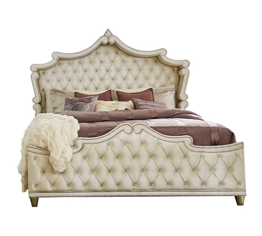 Antonella Upholstered Tufted California King Bed Ivory and Camel