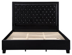 Hailey Upholstered Tufted Platform Queen Bed Black