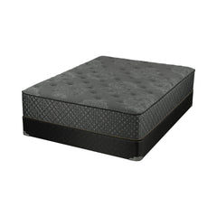 Bellamy 12? California King Mattress Grey and Black