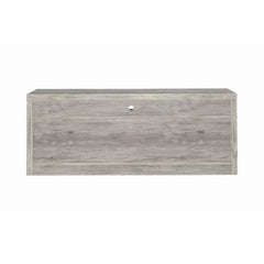 Burke 2-drawer TV Console Grey Driftwood