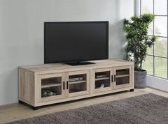 Sachin Rectangular TV Console with Glass Doors