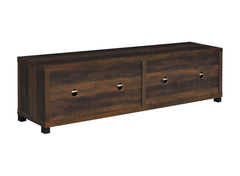 Sachin Rectangular TV Console with Glass Doors